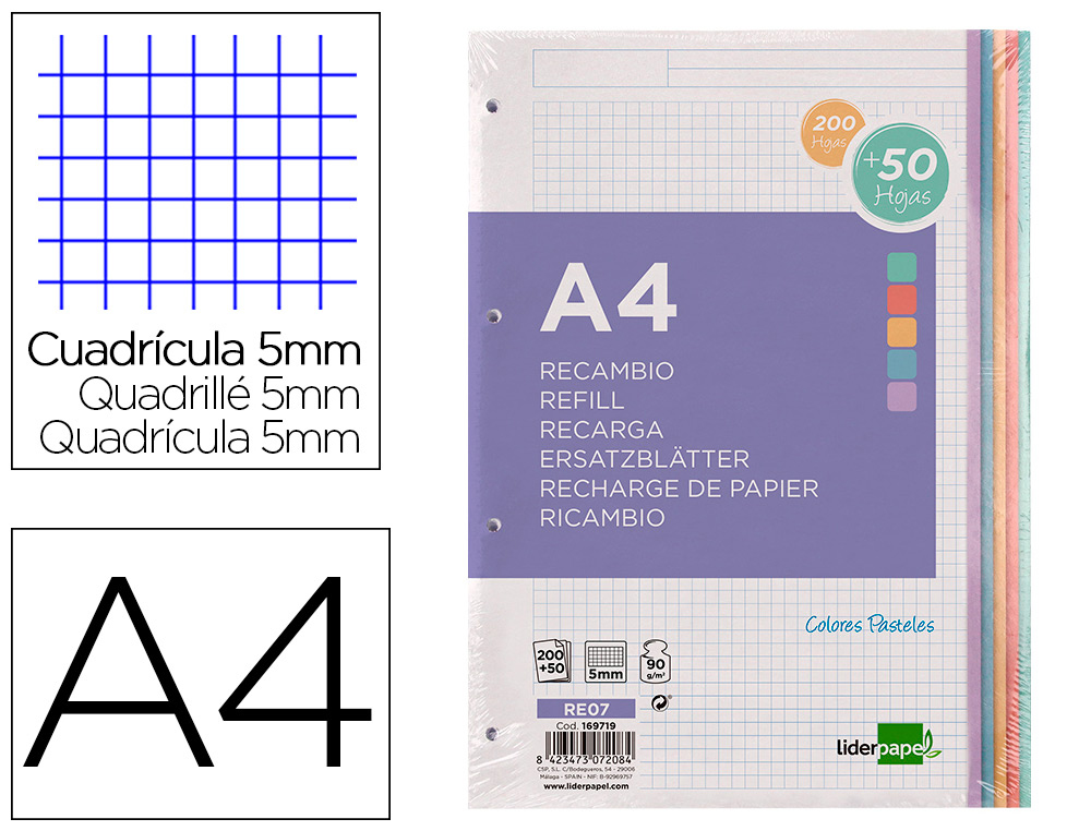 RECARGA LIDERPAPEL A4 200+50 FOLHAS 90 GR QUADRICULA 5 MM 4 FUROS BANDAS DE 5 CORES