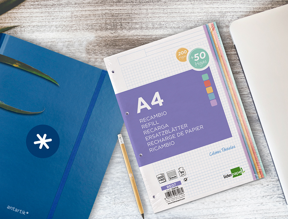 RECARGA LIDERPAPEL A4 200+50 FOLHAS 90 GR QUADRICULA 5 MM 4 FUROS BANDAS DE 5 CORES