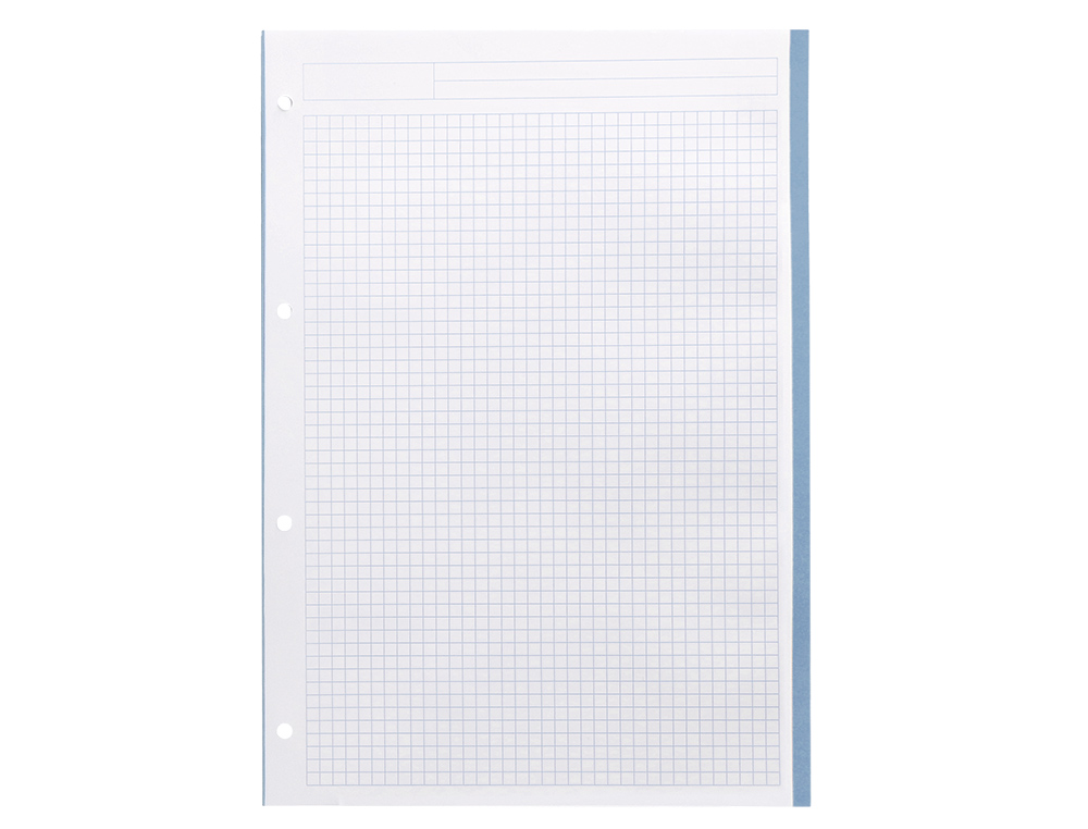 RECARGA LIDERPAPEL A4 200+50 FOLHAS 90 GR QUADRICULA 5 MM 4 FUROS BANDAS DE 5 CORES