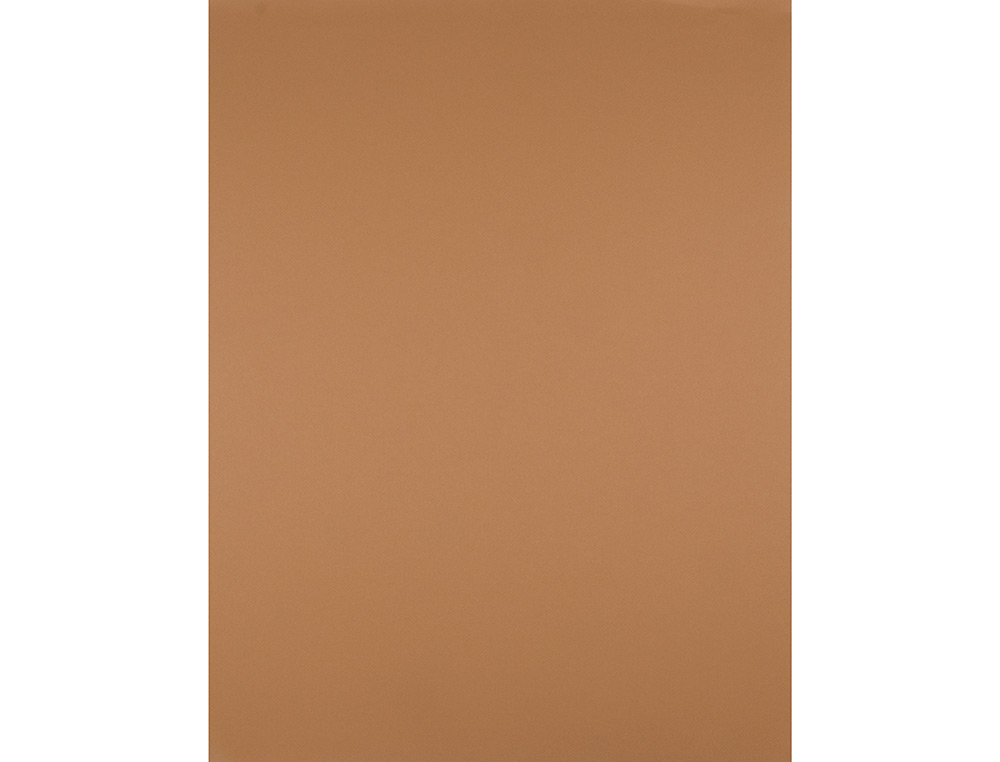 CARTOLINA LIDERPAPEL 50X65 CM 180 GR CASTANHO CLARO PACK DE 25 UNIDADES